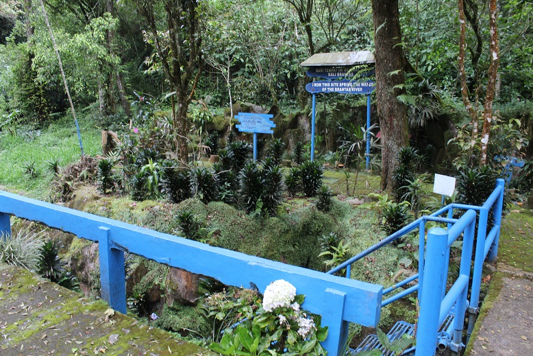 Arboretum Titik Nol Sungai Brantas